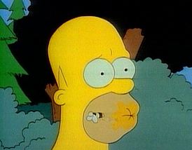 Homer mangia le api